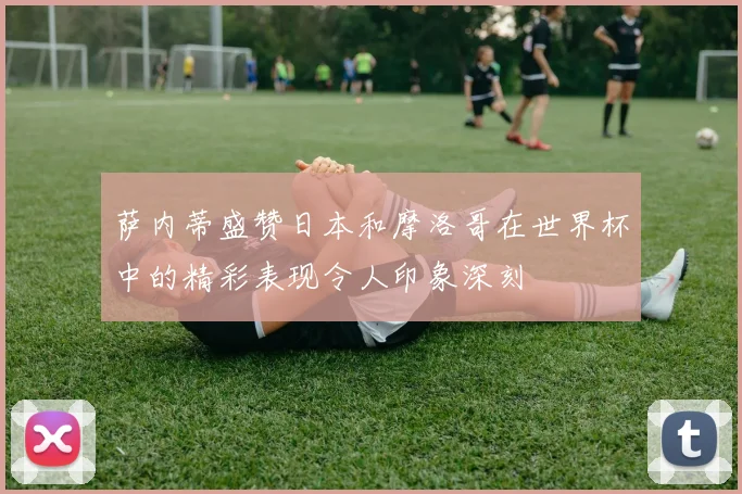 萨内蒂盛赞日本和摩洛哥在世界杯中的精彩表现令人印象深刻