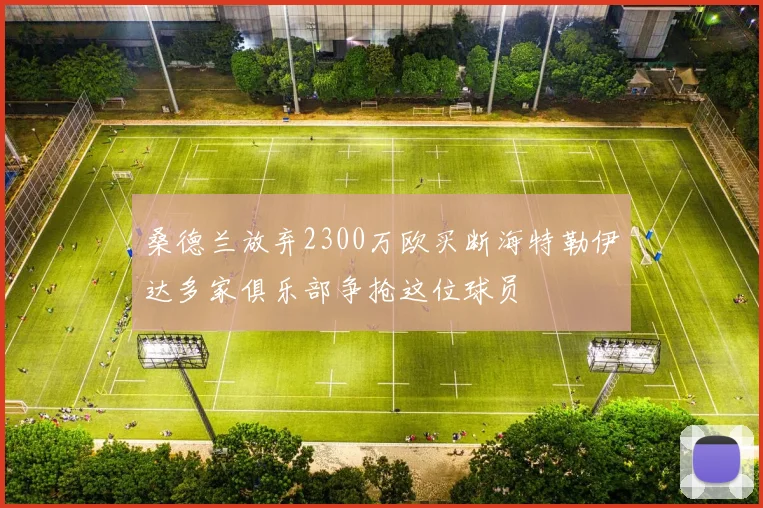 桑德兰放弃2300万欧买断海特勒伊达多家俱乐部争抢这位球员